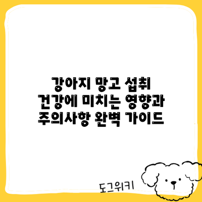 강아지 망고 섭취: 건강에 미치는 영향과 주의사항 완벽 가이드