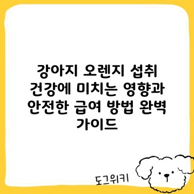강아지 오렌지 섭취: 건강에 미치는 영향과 안전한 급여 방법 완벽 가이드