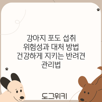 강아지 포도 섭취 위험성과 대처 방법: 건강하게 지키는 반려견 관리법