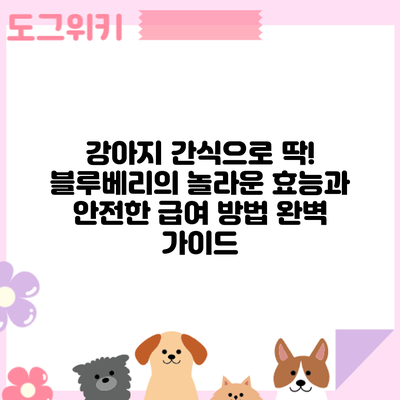 강아지 간식으로 딱! 블루베리의 놀라운 효능과 안전한 급여 방법 완벽 가이드