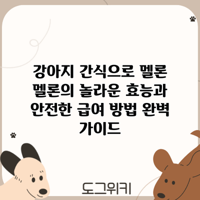 강아지 간식으로 멜론? 멜론의 놀라운 효능과 안전한 급여 방법 완벽 가이드