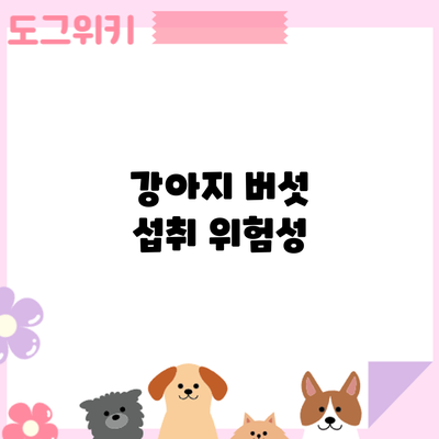 강아지 버섯 섭취: 위험성