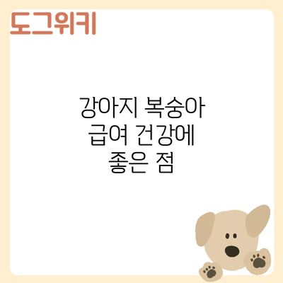 강아지 복숭아 급여: 건강에 좋은 점