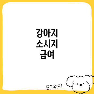 강아지 소시지 급여