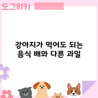 강아지가 먹어도 되는 음식: 배와 다른 과일