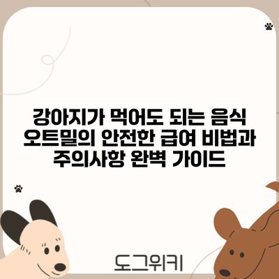 강아지가 먹어도 되는 음식: 오트밀의 안전한 급여 비법과 주의사항 완벽 가이드