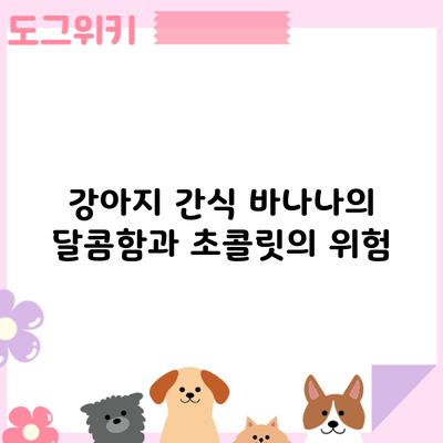 강아지 간식: 바나나의 달콤함과 초콜릿의 위험