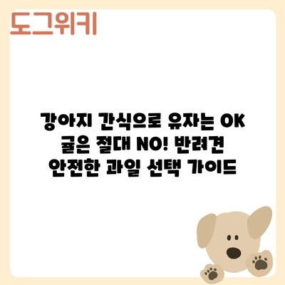 강아지 간식으로 유자는 OK? 귤은 절대 NO! 반려견 안전한 과일 선택 가이드