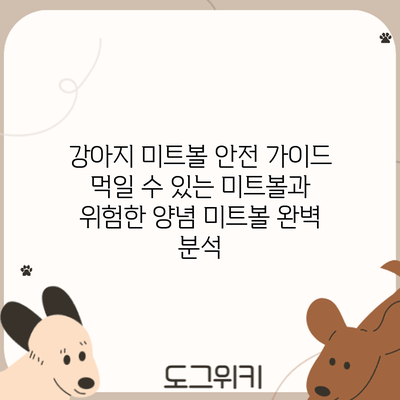 강아지 미트볼 안전 가이드: 먹일 수 있는 미트볼과 위험한 양념 미트볼 완벽 분석