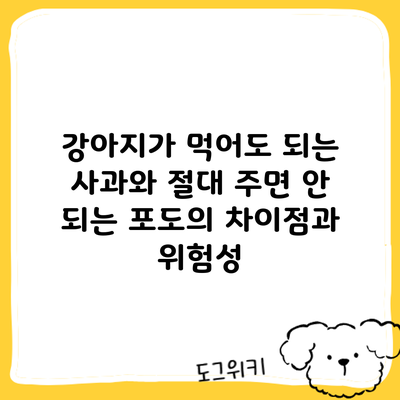 강아지가 먹어도 되는 사과와 절대 주면 안 되는 포도의 차이점과 위험성