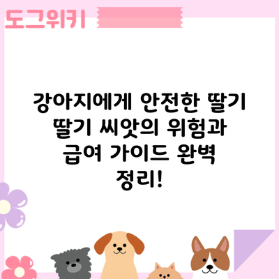 강아지에게 안전한 딸기? 딸기 씨앗의 위험과 급여 가이드 완벽 정리!