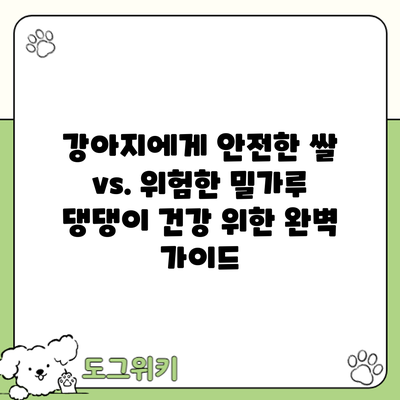 강아지에게 안전한 쌀 vs. 위험한 밀가루: 댕댕이 건강 위한 완벽 가이드