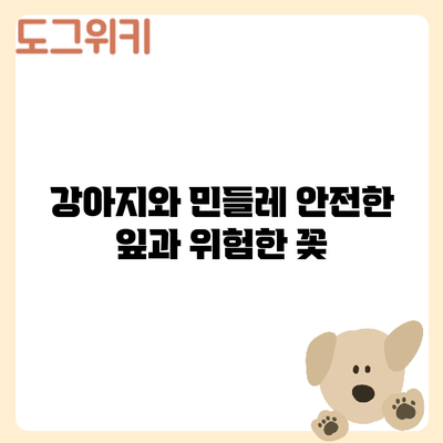 강아지와 민들레: 안전한 잎과 위험한 꽃