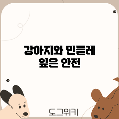 강아지와 민들레: 잎은 안전