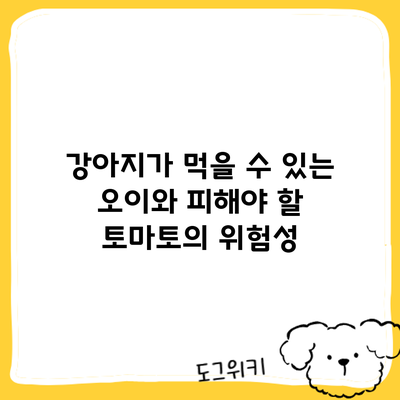 강아지가 먹을 수 있는 오이와 피해야 할 토마토의 위험성