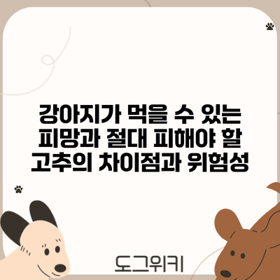 강아지가 먹을 수 있는 피망과 절대 피해야 할 고추의 차이점과 위험성