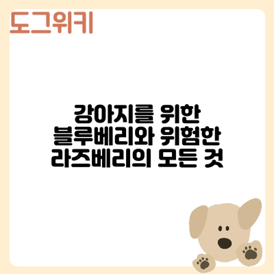 강아지를 위한 블루베리와 위험한 라즈베리의 모든 것