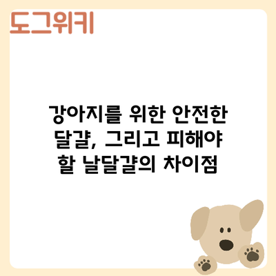 강아지를 위한 안전한 달걀, 그리고 피해야 할 날달걀의 차이점