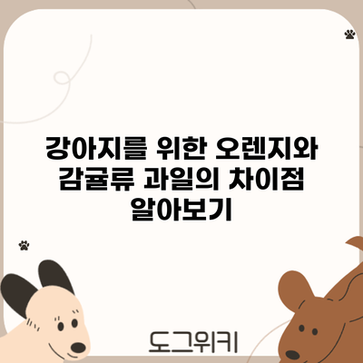 강아지를 위한 오렌지와 감귤류 과일의 차이점 알아보기