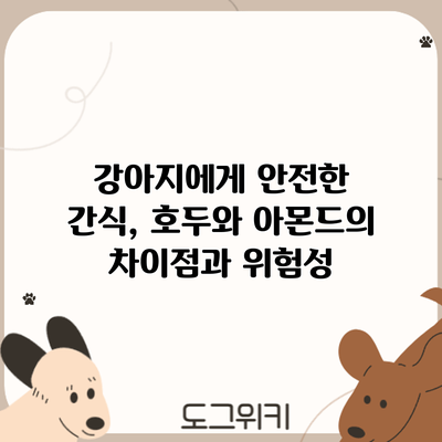 강아지에게 안전한 간식, 호두와 아몬드의 차이점과 위험성