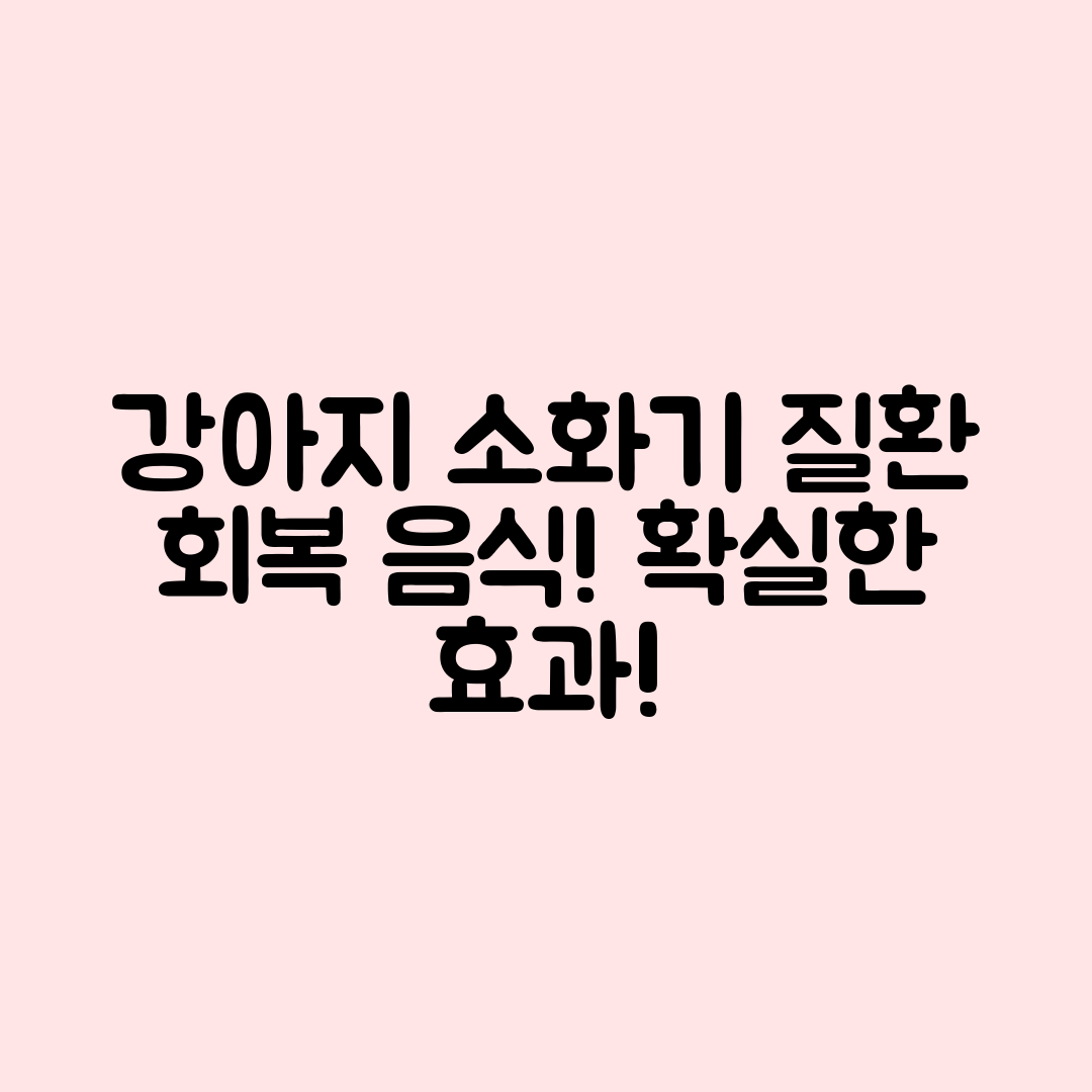 강아지 소화기 질환 회복에 좋은 음식은?