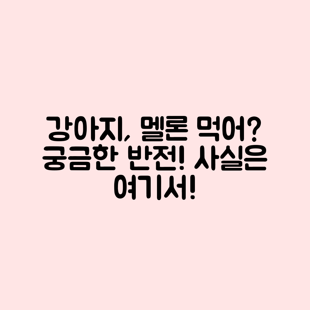 강아지가 멜론을 먹을 수 있을까요?