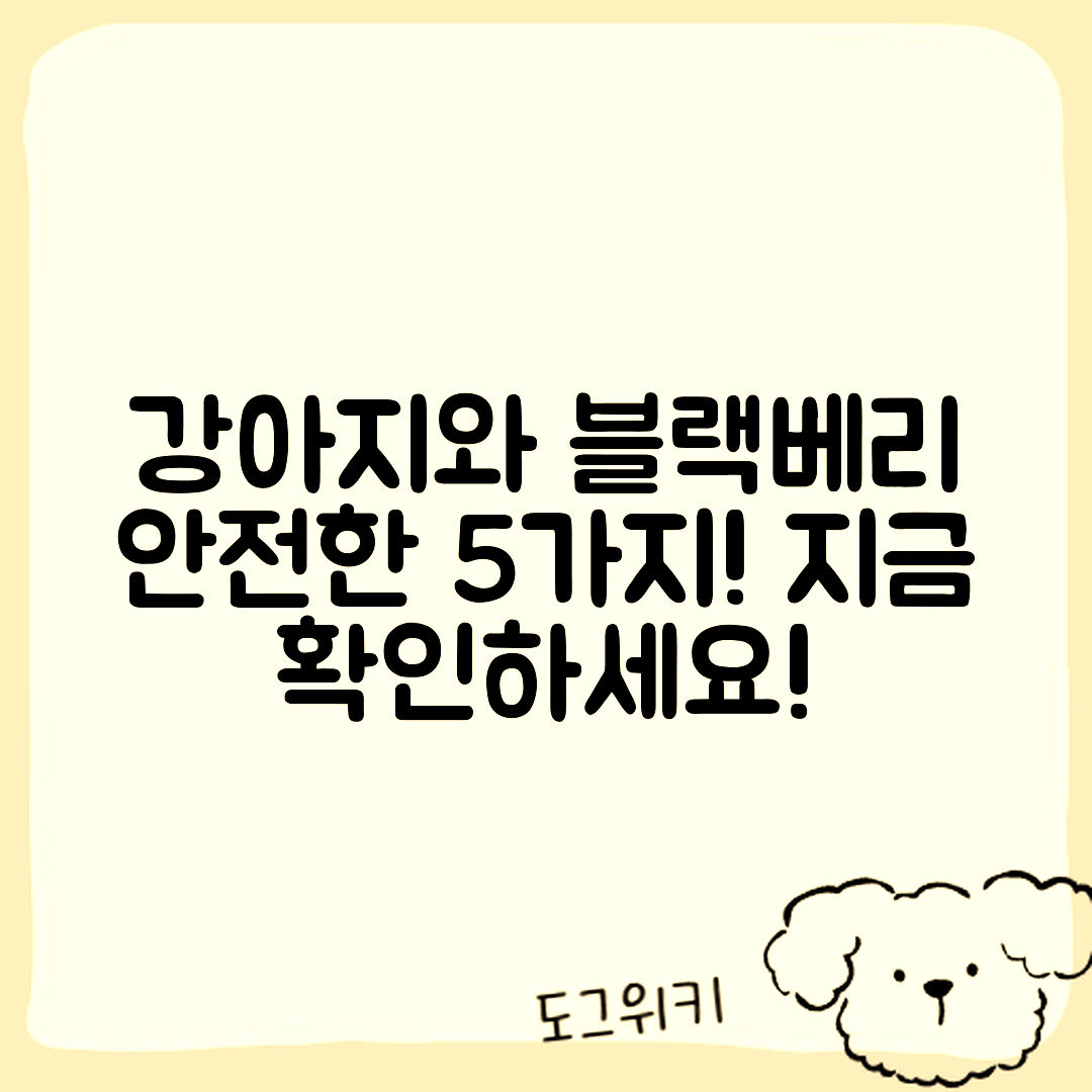 강아지가 먹어도 되는 블랙베리 5가지