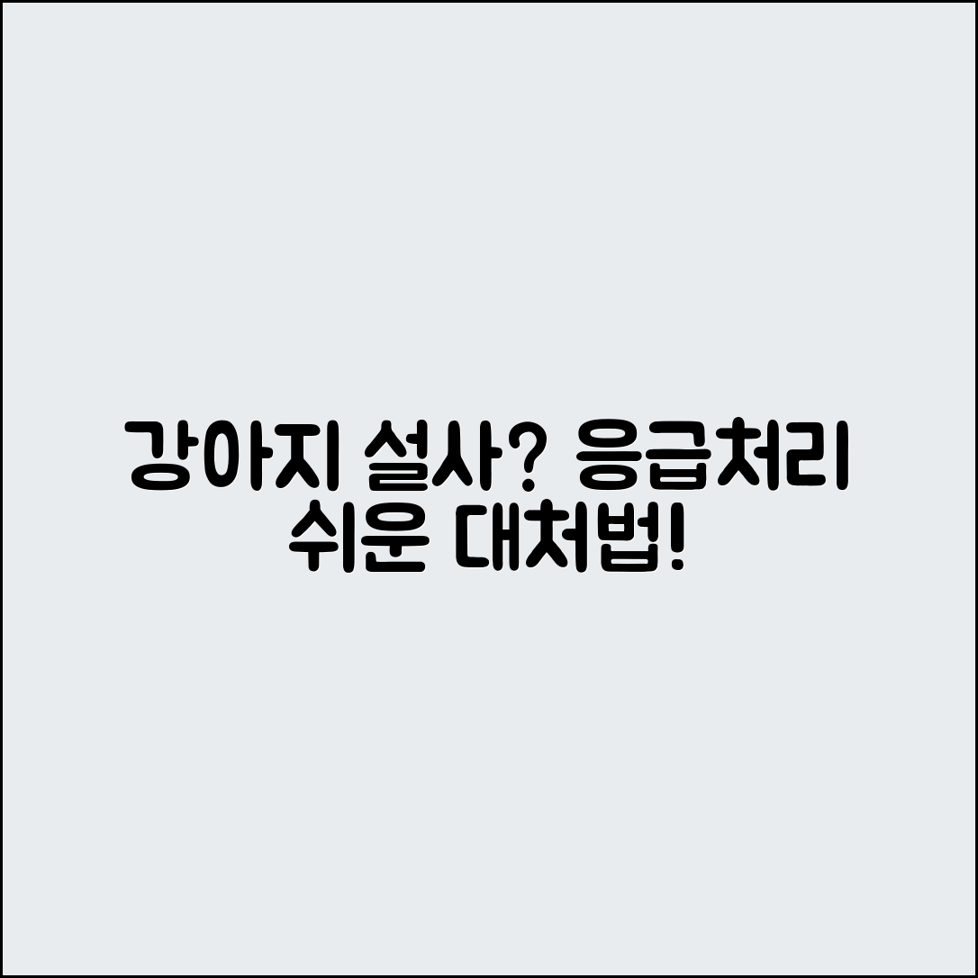 초보자도 쉽게 대처하는 강아지 설사와 혈변 응급 처리