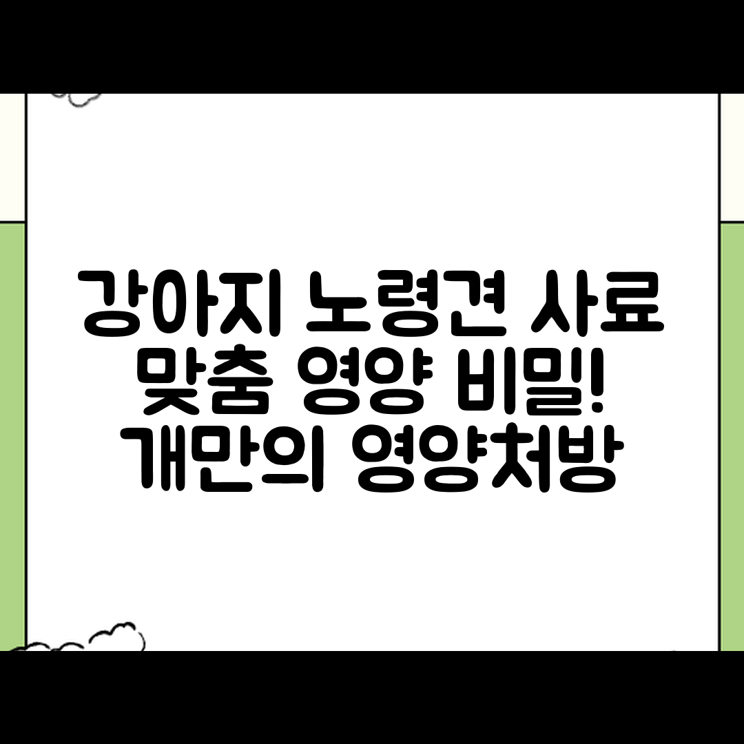 놀라운 강아지 노령견 사료의 맞춤 영양 비밀!