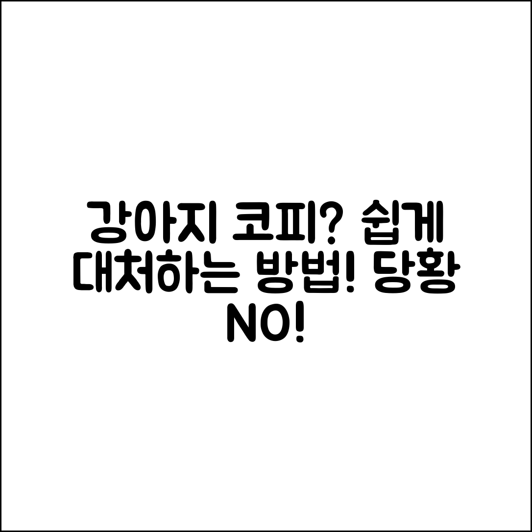 강아지 코피, 누구나 쉽게 대처하는 법