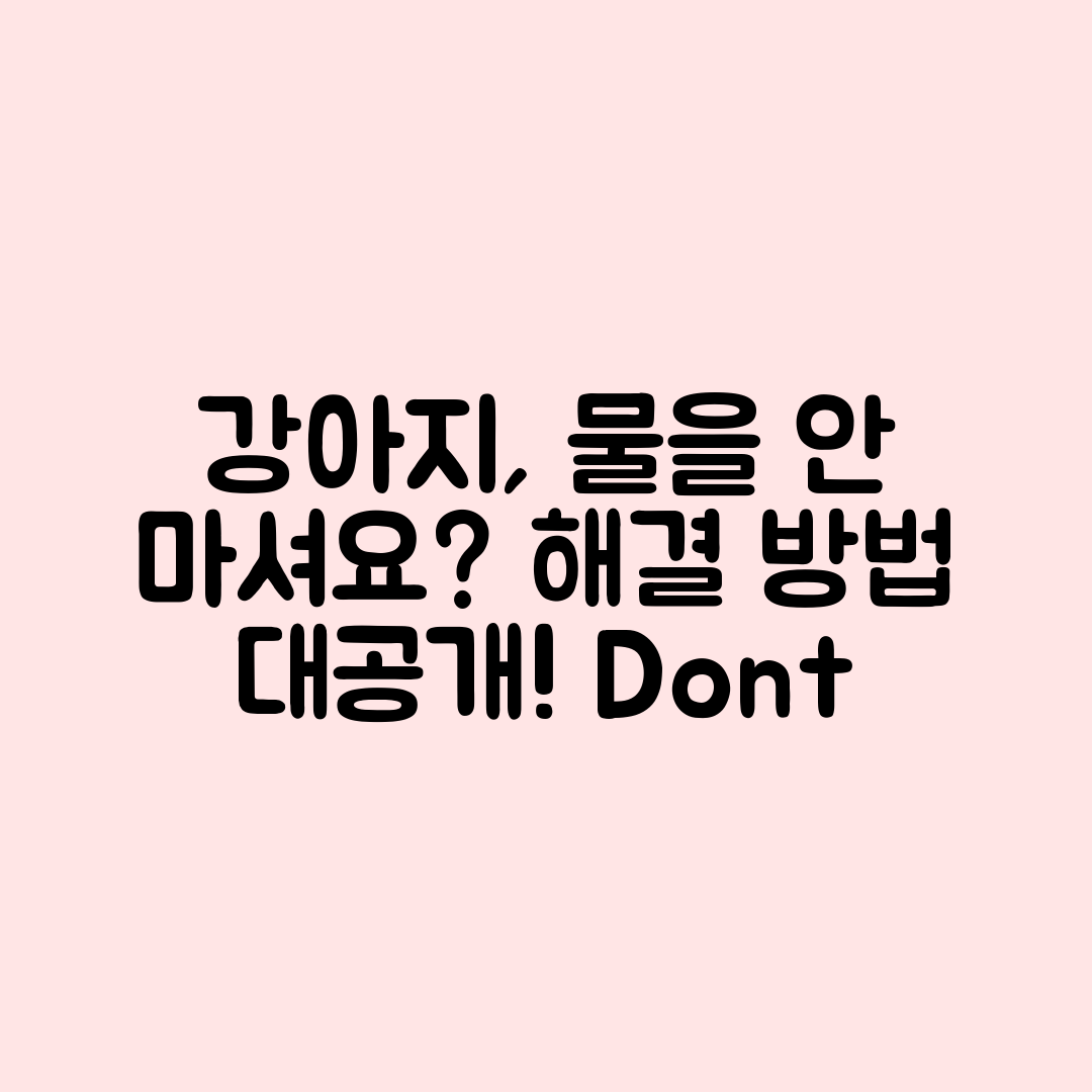 강아지가 물을 안 마셔요! 해결 방법은?