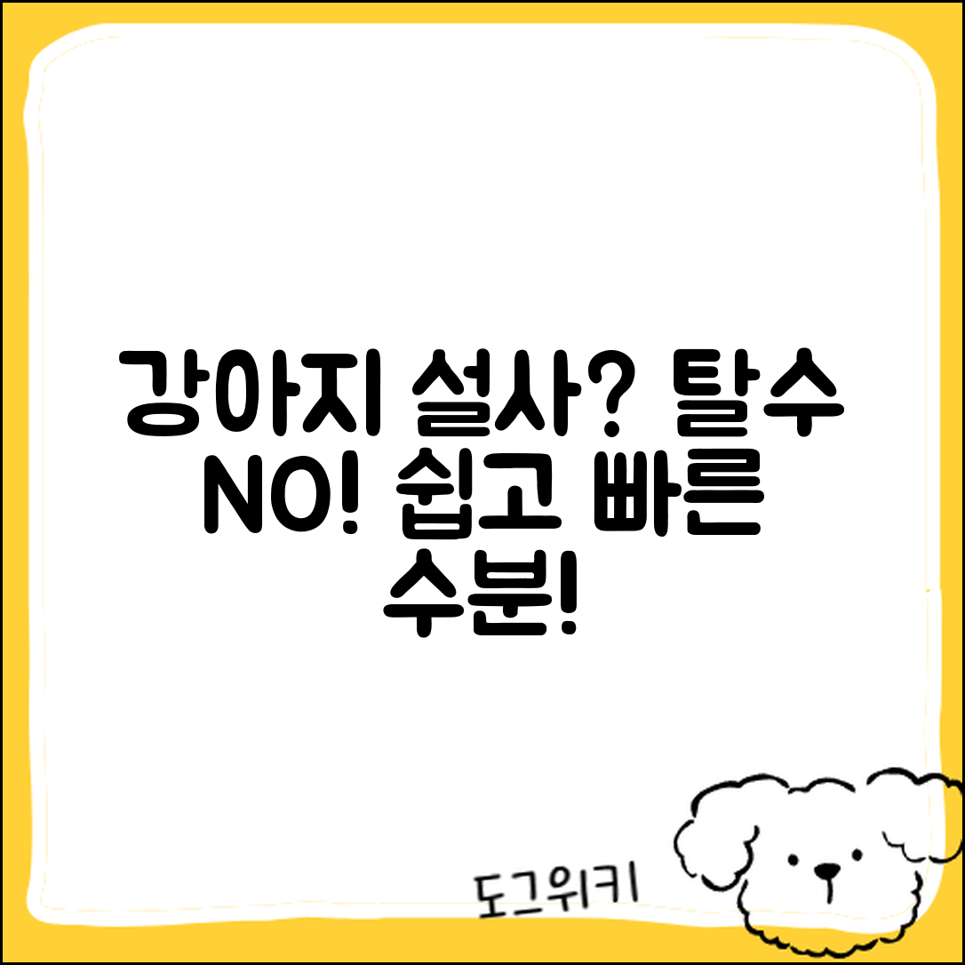 강아지 설사 후 탈수, 누구나 쉽게 해결하는 수분 보충법