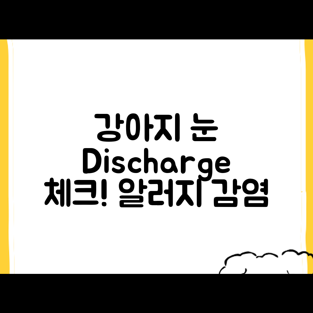 강아지 눈 discharge 체크: 음식, 알러지, 감염 완벽 가이드
