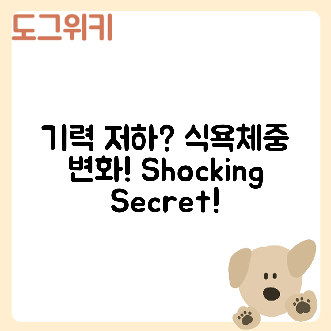 강아지 기력 저하, 식욕·체중 변화의 충격적 비밀!