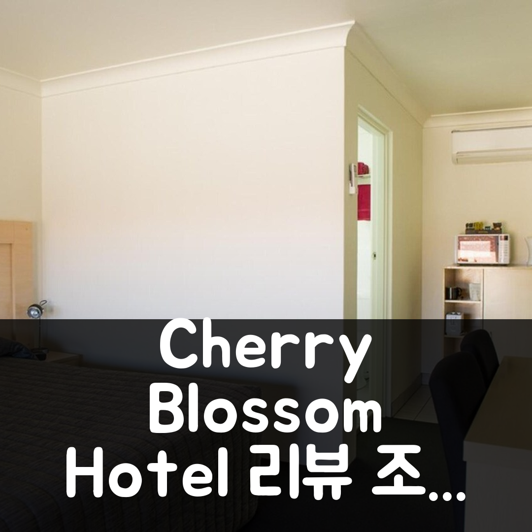 Cherry Blossom Motor Inn 영 호텔 리뷰 & 조식 포함 특가 팁
