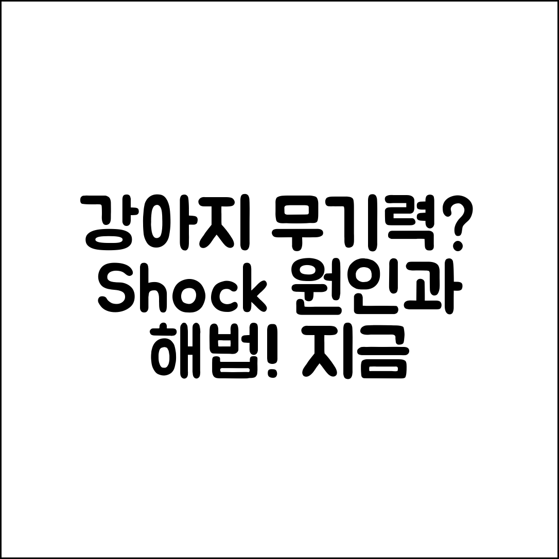 충격적인 강아지 무기력의 원인과 해결법!