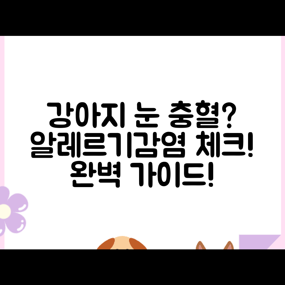 강아지 눈 충혈 완벽 가이드: 알레르기·감염·사료 영향