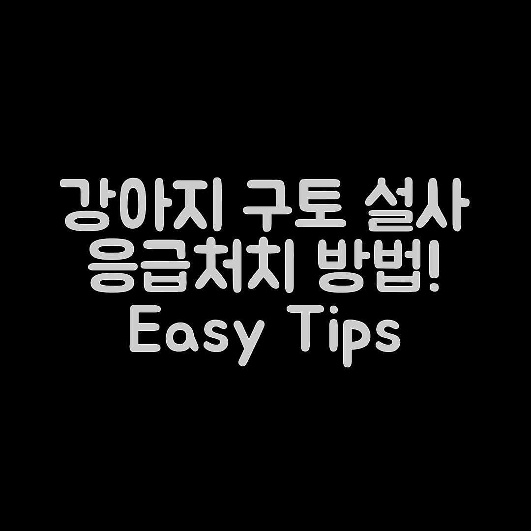 강아지 구토와 설사, 누구나 쉽게 응급처치하기