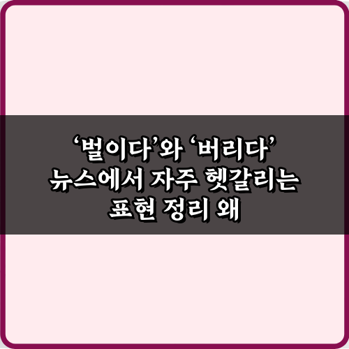 벌이다'와 '버리다' 뉴스에서 자주 헷갈리는 표현 정리 5가지 비법